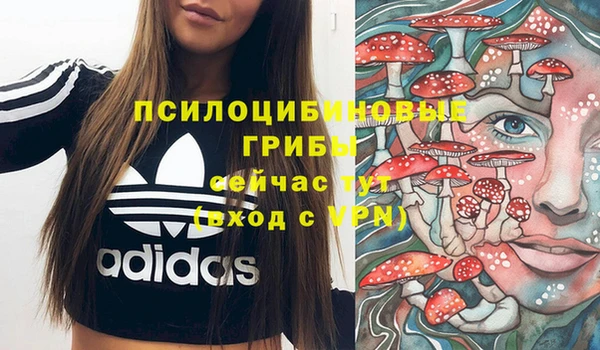 соль курить ск Баксан