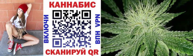 Каннабис OG Kush  Колпашево 
